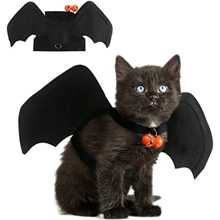 Cat Bat Wings